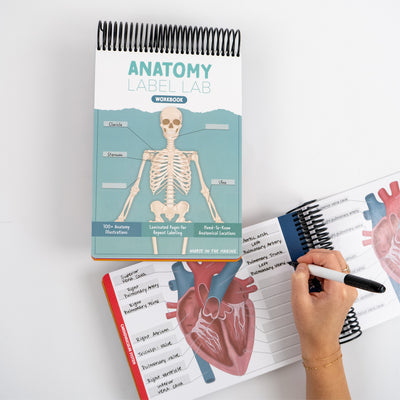 The Complete Nursing School Bundle 2026