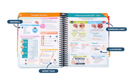 The Complete Nursing School Bundle 2026