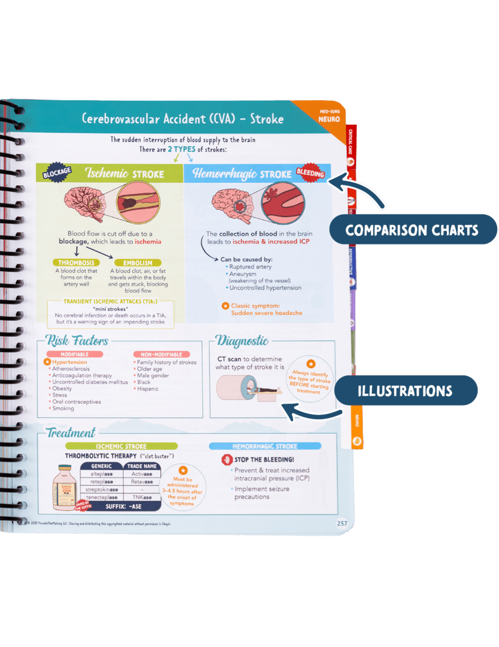 The Complete Nursing School Bundle 2026
