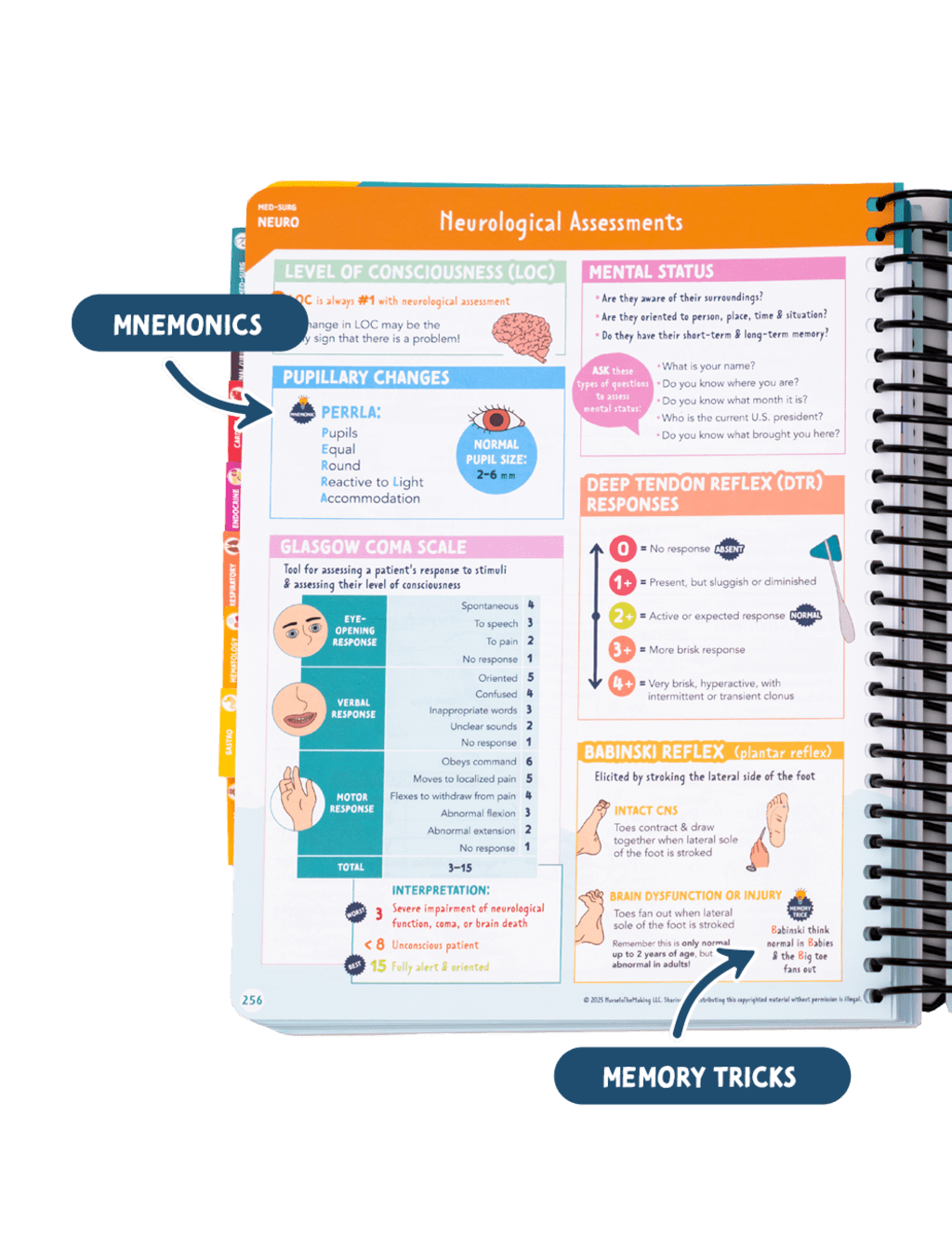 The Complete Nursing School Bundle 2026