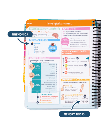 The Complete Nursing School Bundle 2026